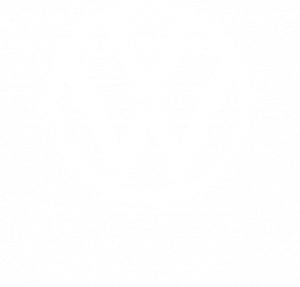 volkswagen-logo-white